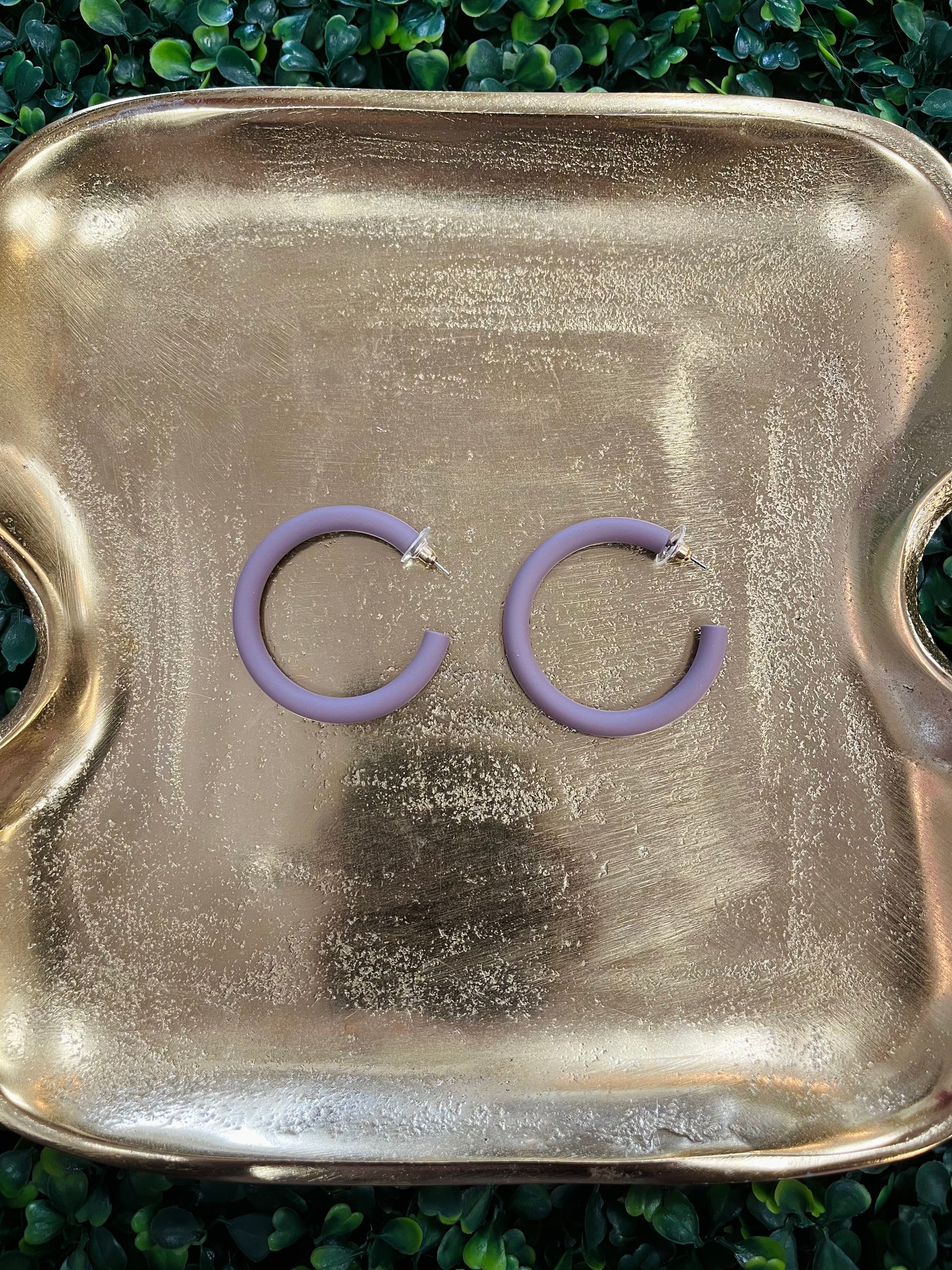 Color Coat Hoop Earrings - Taupe