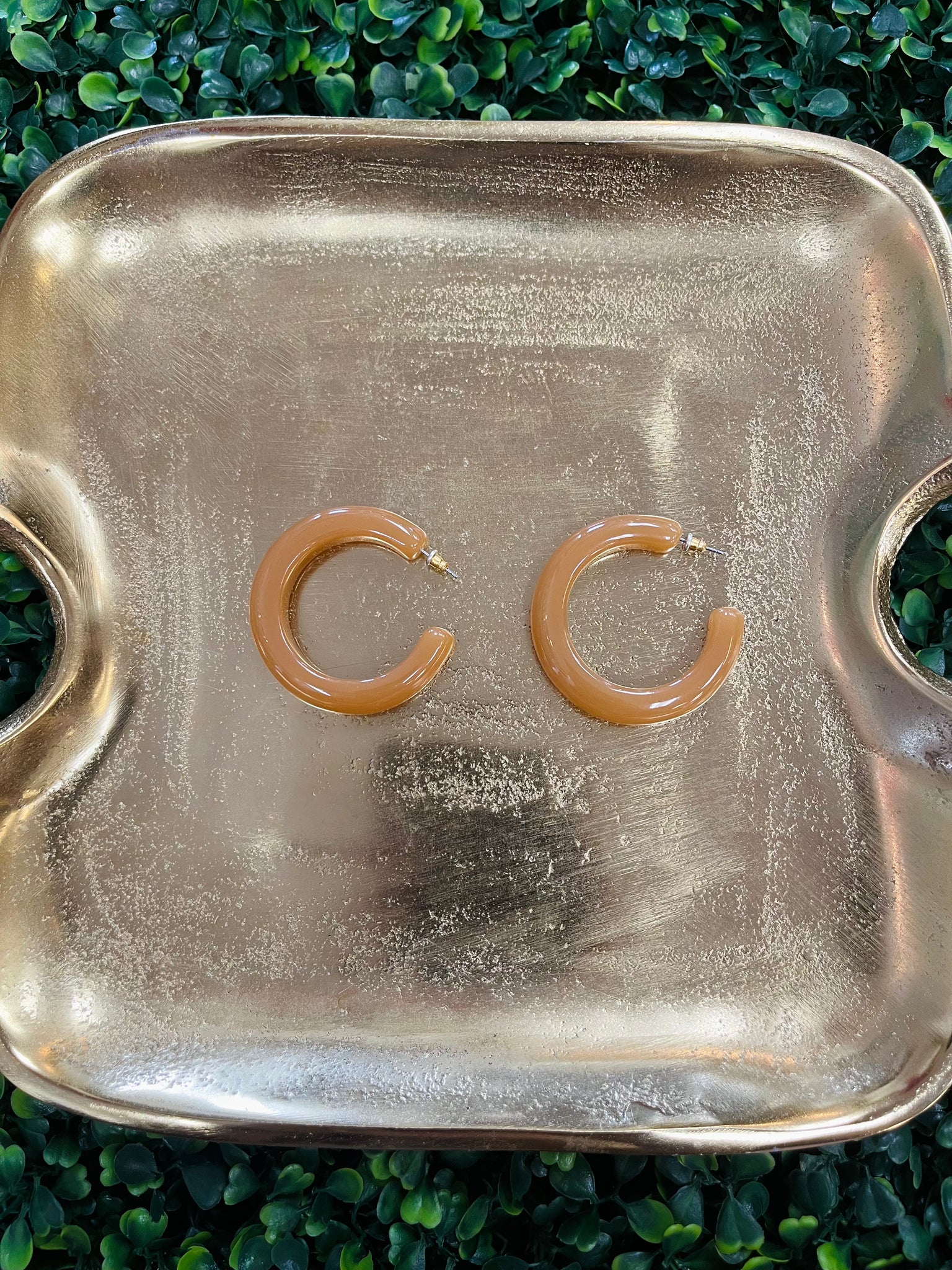 Thick Acrylic Hoop Earrings - Brown