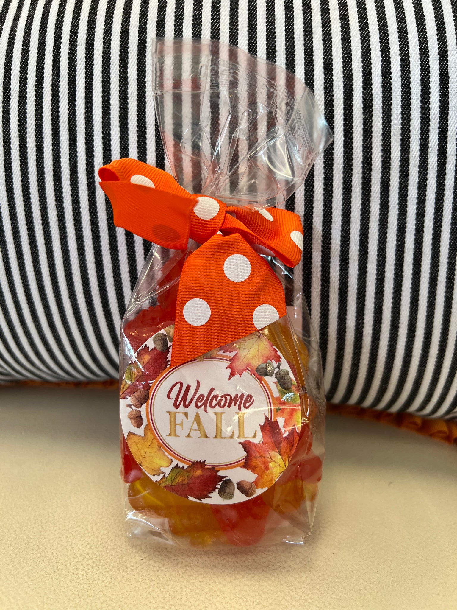 Fall Gummi Pumpkins Treat Bag